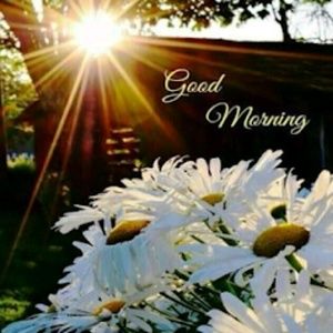 Meet your Posher, Eliz